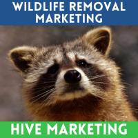 Hive Marketing image 4